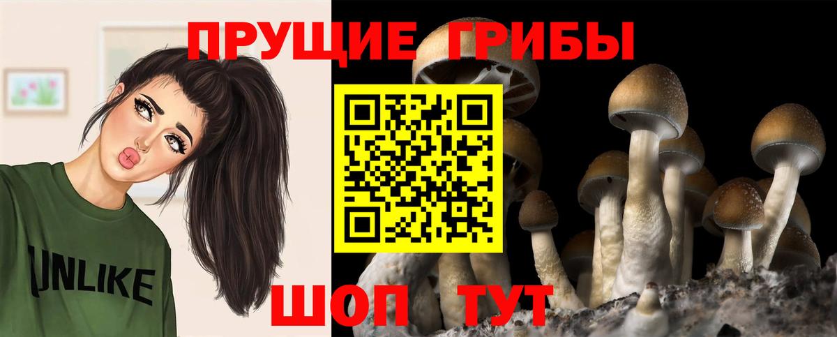 Галлюциногенные грибы мицелий  Вход с VPN  Североуральск 